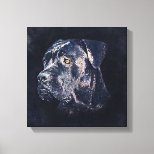 Cane Corso - Italienisches Mastiff Portrait Leinwanddruck (Vorderseite)