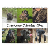 Cane Corso Kalender (Titelbild)