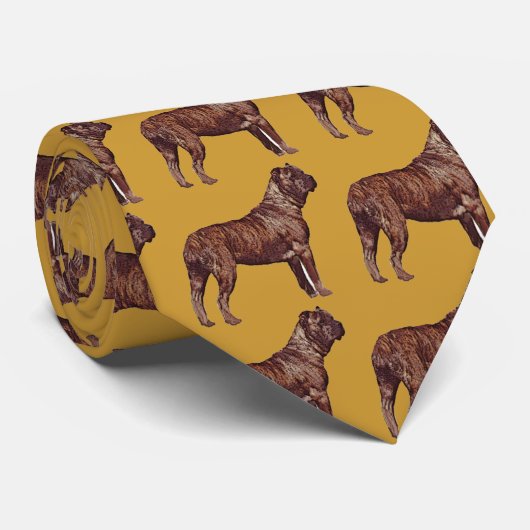 Cane Corso Krawatte (Gerollt)