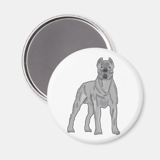 Cane Corso Magnet (Vorderseite/Rückseite)