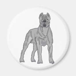 Cane Corso Magnet