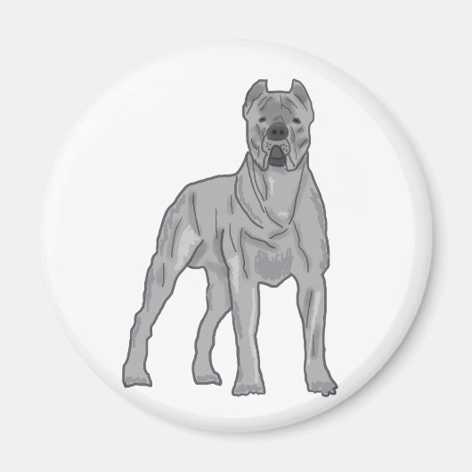 Cane Corso Magnet (Vorne)