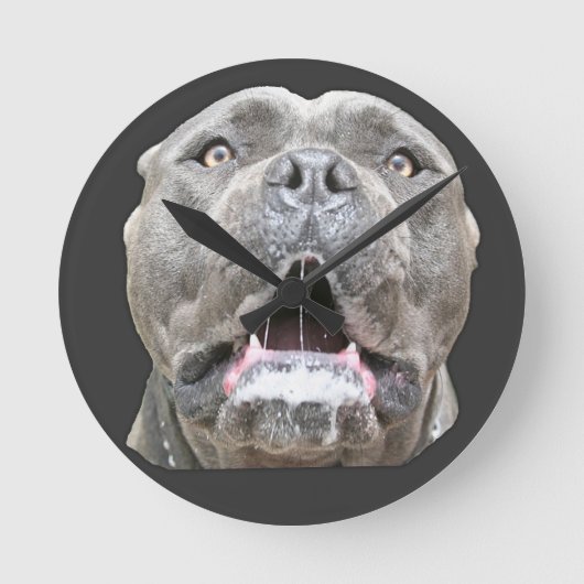 Cane Corso Mastiff Clock Runde Wanduhr (Vorderseite)