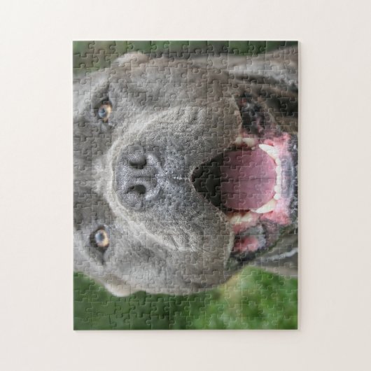 Cane Corso Mastiff Dog Puzzle (Vertikal)