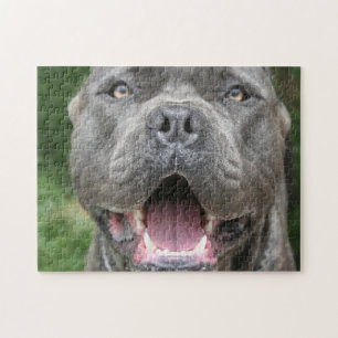 Cane Corso Mastiff Hund Puzzle