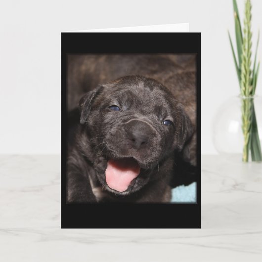 Cane Corso Mastiff Puppy Karte (Vorderseite)