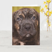 Cane Corso Mastiff-Welpentarkarte Karte (Gelbe Blume)