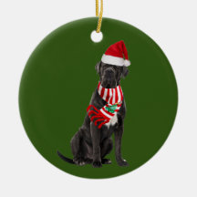 Cane Corso mit Hat Scaft Weihnachten
