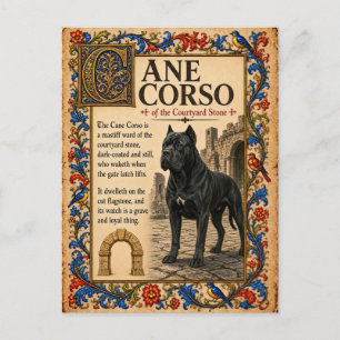 Cane Corso, mittelalterliche Bestiarien-Kunst Postkarte