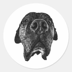 Cane Corso Nasenaufkleber Bold Dog Art Runder Aufkleber