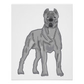Cane Corso Poster (Vorderseite)