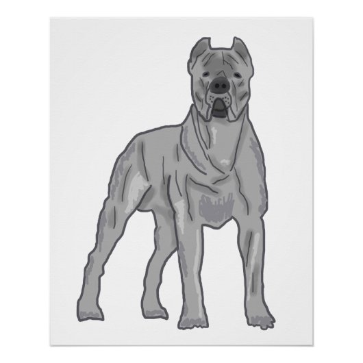 Cane Corso Poster (Vorderseite)