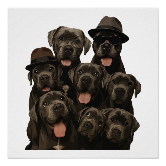 Cane Corso Poster (Vorderseite)