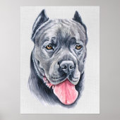 Cane Corso Poster (Vorne)