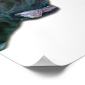 Cane Corso Poster(P) Poster (Ecke)