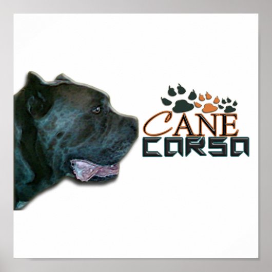 Cane Corso Poster(P) Poster (Vorne)