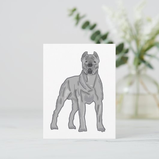 Cane Corso Postkarte (Stehend Vorderseite)
