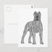 Cane Corso Postkarte (Vorne/Hinten)