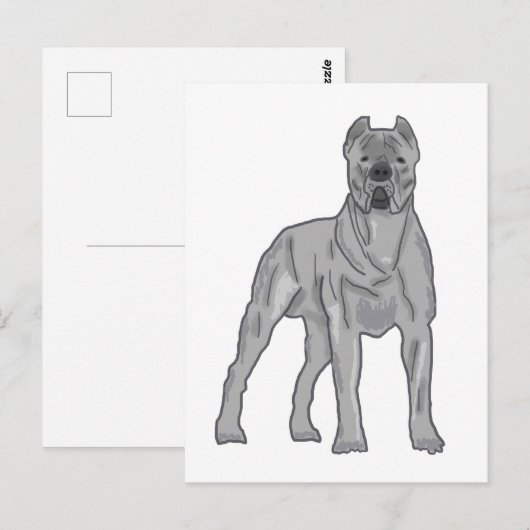 Cane Corso Postkarte (Vorne/Hinten)