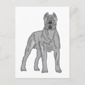 Cane Corso Postkarte (Vorderseite)