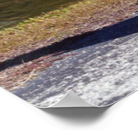 Cane Corso Print Poster (Ecke)