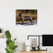 Cane Corso Print Poster (Heimbüro)