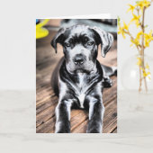 Cane corso pup 2.png karte (Gelbe Blume)