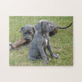 Cane Corso Puppy Niedlich spielend Puzzle (Horizontal)