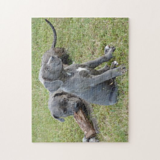 Cane Corso Puppy Niedlich spielend Puzzle (Vertikal)