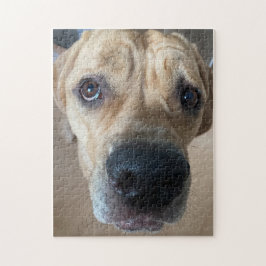 Cane Corso Puzzle