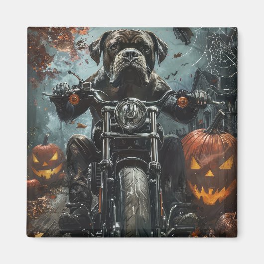 Cane Corso Riding Motorrad Halloween Beängstigend Magnet (Vorne)