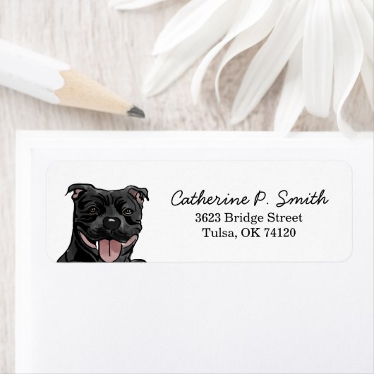 Cane Corso Rücksendeadresse (Insitu)