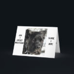 CANE CORSO SAGT BROTHER AM BURTSTAG JUNG AUSSIEHT KARTE<br><div class="desc">CANE CORSO SAGT BROTHER SEHT JEDES JAHR JEDES JAHR AUF SEINEN BIRTHTAG!</div>