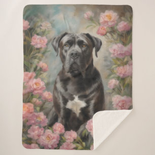 Cane Corso Sherpadecke