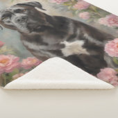 Cane Corso Sherpadecke (3/4)