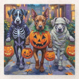 Cane Corso Trick-or-Treating in Halloween-Kostümen Glasuntersetzer
