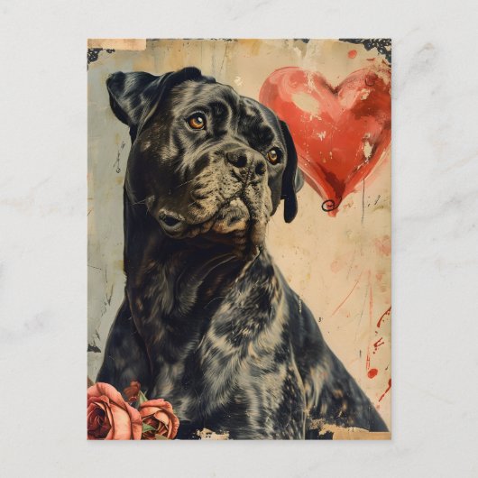 Cane Corso Vintag Valentinstag, Postkarte (Vorderseite)