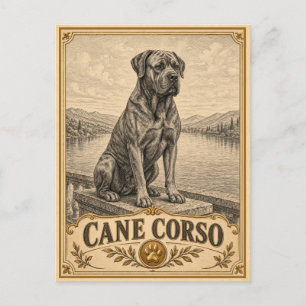 Cane Corso, Vintage Heritage Hund Postkarte