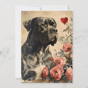 Cane Corso Vintage Valentinstag  Feiertagskarte