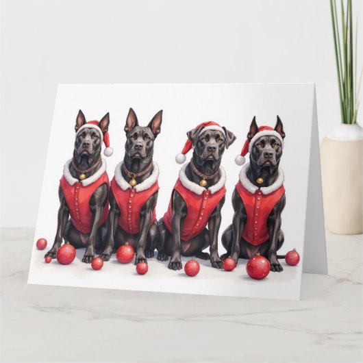 Cane Corso Weihnachtskleid Santa Hut Karte (Vorderseite)