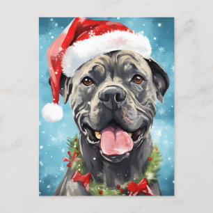 Cane Corso Weihnachtsmalerei Postkarte