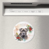Cane Corso Weihnachtsmann Festliche Jungfrau Magnet (In Situ (Geschirrspüler))