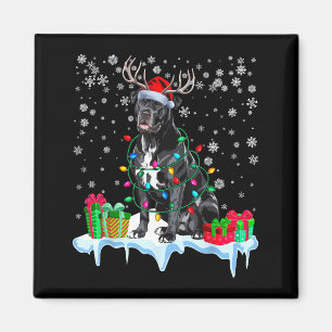 Cane Corso Weihnachtsmannmütze Rentier Pyjama Hund Magnet