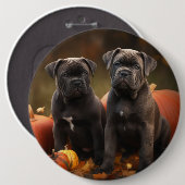 Cane Corso Welpe Autumn Delight Pumpkin Button (Vorne & Hinten)