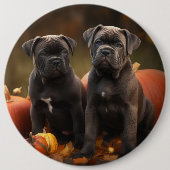 Cane Corso Welpe Autumn Delight Pumpkin Button (Vorderseite)