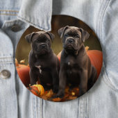 Cane Corso Welpe Autumn Delight Pumpkin Button (Beispiel)