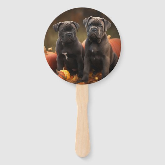 Cane Corso Welpe Autumn Delight Pumpkin Fächer (Vorderseite)