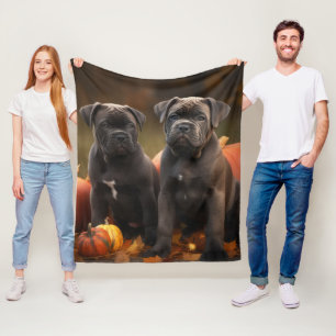Cane Corso Welpe Autumn Delight Pumpkin Fleecedecke