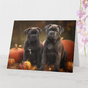 Cane Corso Welpe Autumn Delight Pumpkin Karte