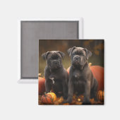 Cane Corso Welpe Autumn Delight Pumpkin Magnet (Vorderseite/Rückseite)
